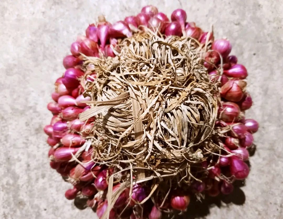 Perjalanan produk bawang merah mitrabawang.id