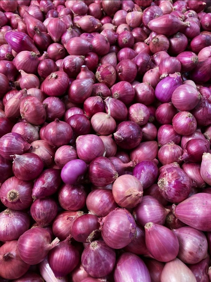 Produk bawang merah ikat dan bersih mitrabawang.id